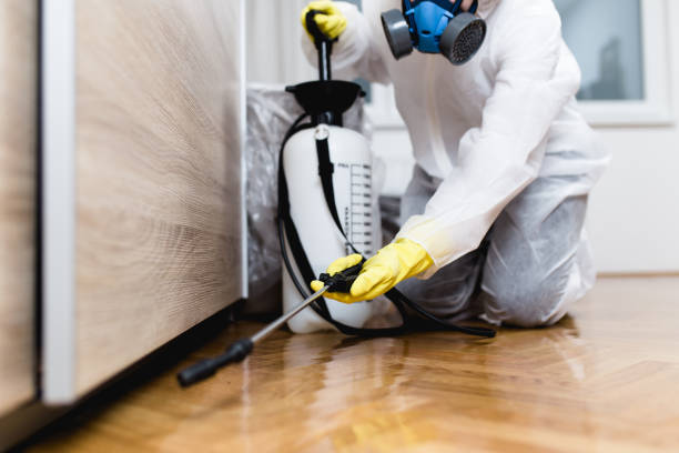 Best Flea Control Services  in West Orange, TX