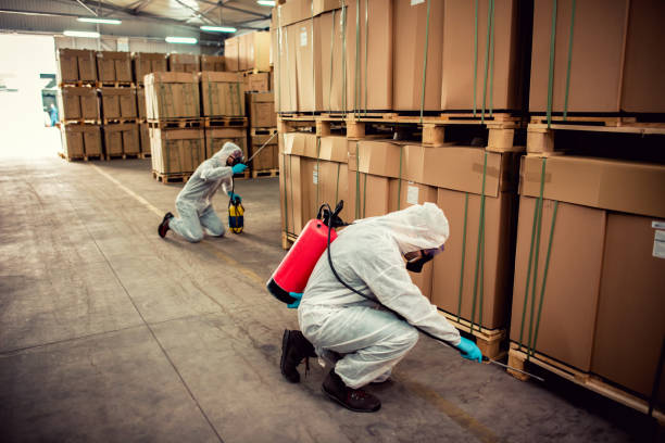 Pest Control for Restaurants in West Orange, TX