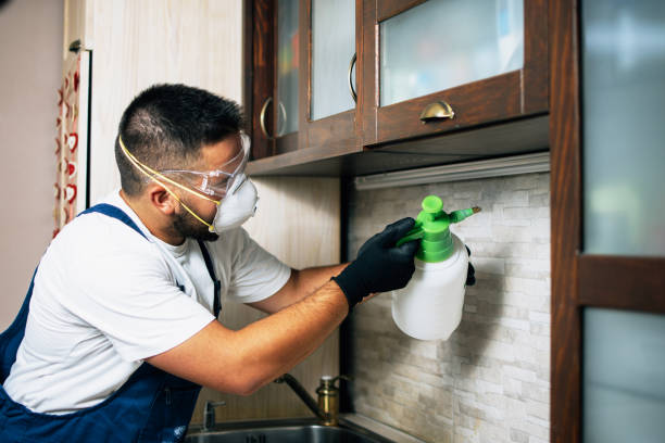 Best Local Pest Control Services  in West Orange, TX
