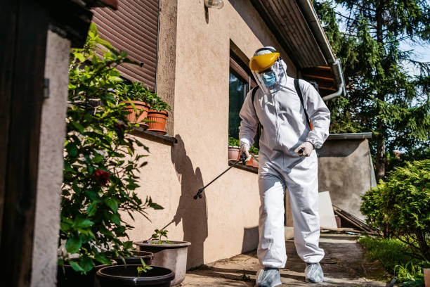 Best Flea Control Services  in West Orange, TX