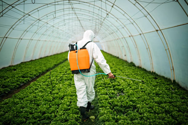 Best Commercial Pest Control Services  in West Orange, TX