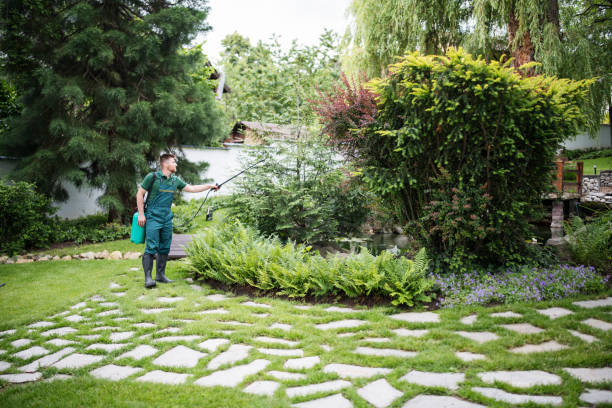 Reliable West Orange, TX Pest Control Solutions