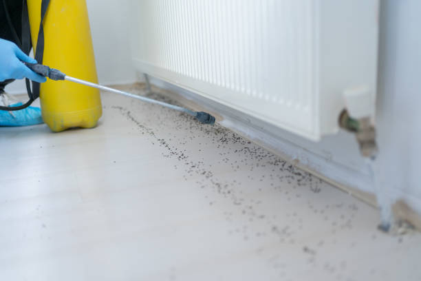 Best Pest Control for Businesses  in West Orange, TX